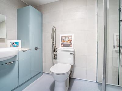 Picture 15